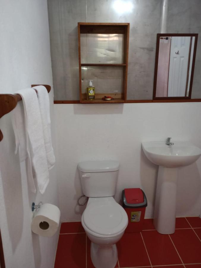 Отель Container House Кауита Экстерьер фото